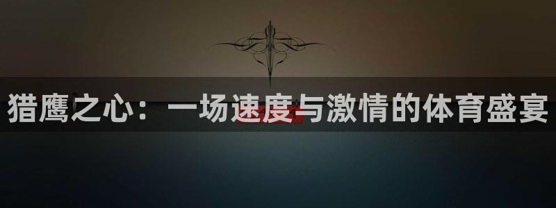 世预赛直播：猎鹰之心：一场速度与激情的体育盛宴