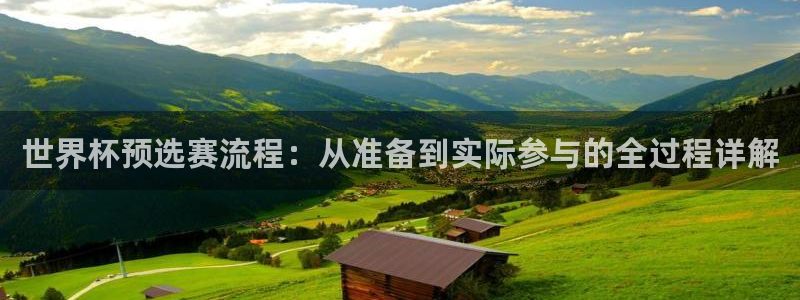欧洲世界杯预选赛赛程：世界杯预选赛流程：从准备到实际参与的全过程详解