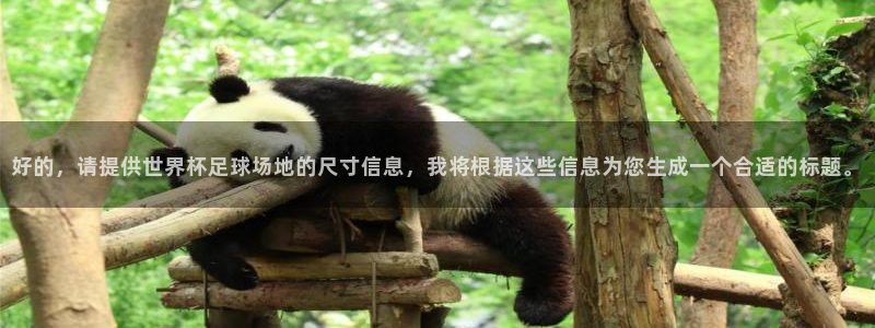 欧洲世界杯预选赛赛程：好的，请提供世界杯足球场地的尺寸信息，我将根据这些信息为您生成一个合适的标题。