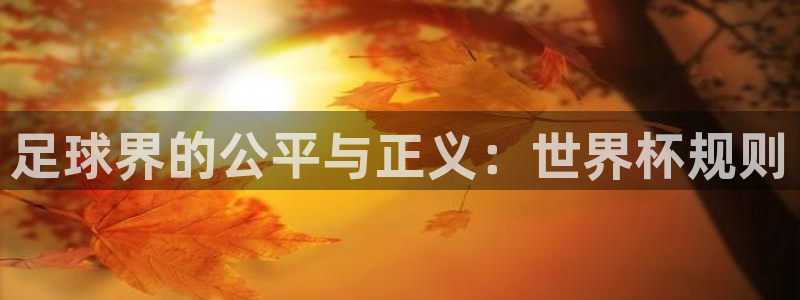世界杯亚洲预选赛18强赛程：足球界的公平与正义：世界杯规则