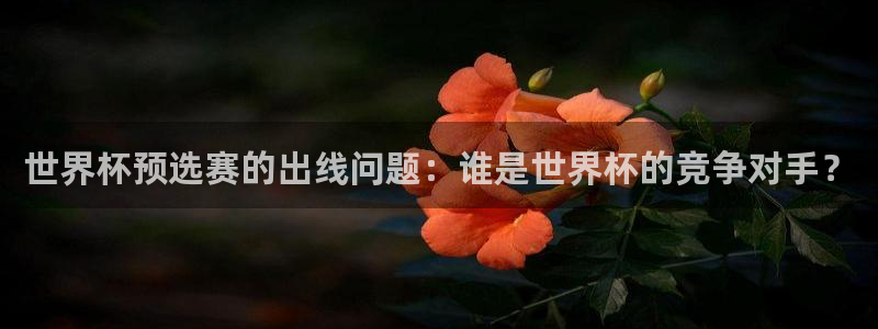 世界杯预选赛：世界杯预选赛的出线问题：谁是世界杯的竞争对手？
