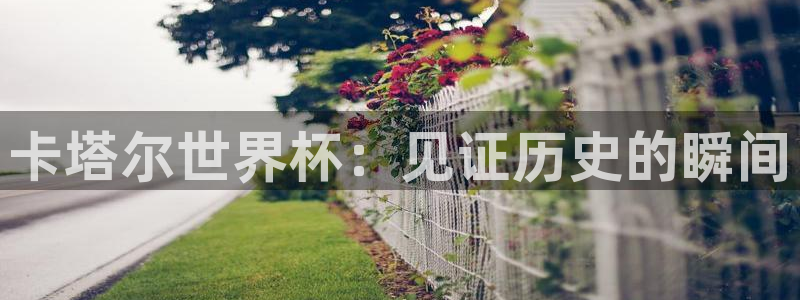 世界杯官网入口：卡塔尔世界杯：见证历史的瞬间