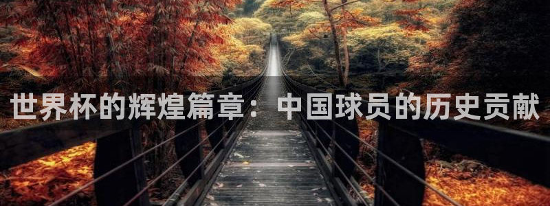 世界杯直播网站：世界杯的辉煌篇章：中国球员的历史贡献