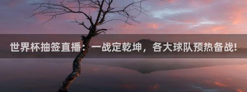美国世界杯：世界杯抽签直播：一战定乾坤，各大球队预热备战!
