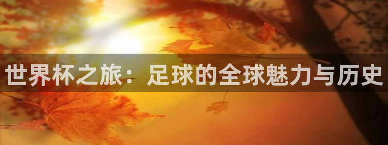 世界杯亚洲区预选赛：世界杯之旅：足球的全球魅力与历史