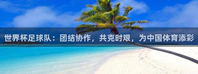 世界杯预选赛直播：世界杯足球队：团结协作，共克时艰，为中国体育添彩