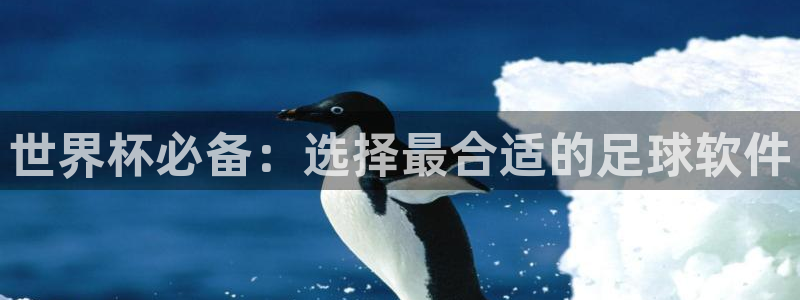 2026世预赛赛程表：世界杯必备：选择最合适的足球软件