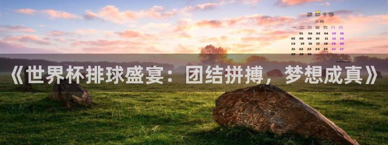 2026世界杯亚洲预选赛：《世界杯排球盛宴：团结拼搏，梦想成真》