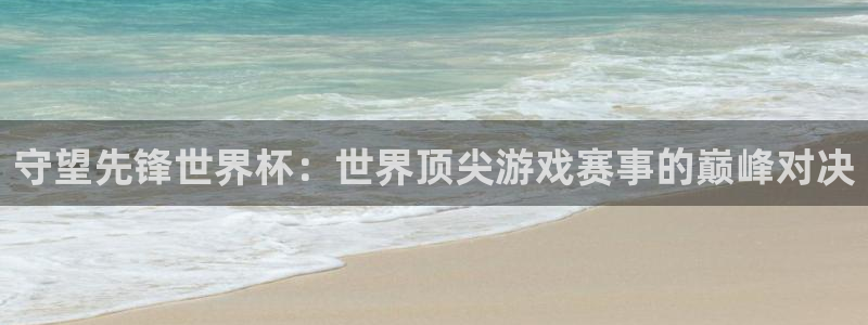 世界杯官网入口：守望先锋世界杯：世界顶尖游戏赛事的巅峰对决