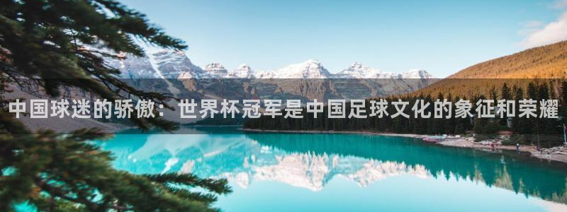2006年世界杯：中国球迷的骄傲：世界杯冠军是中国足球文化的象征和荣耀
