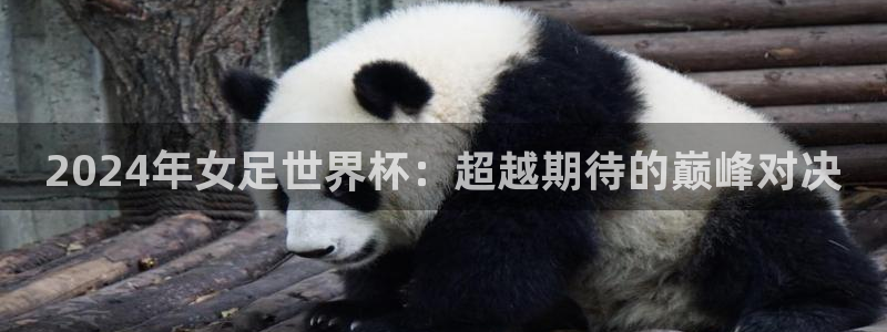 亚洲杯比赛直播：2024年女足世界杯：超越期待的巅峰对决