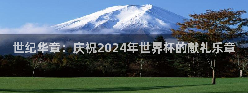 足球比分直播世界杯：世纪华章：庆祝2024年世界杯的献礼乐章