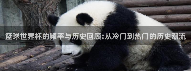 2026世界杯官网：篮球世界杯的频率与历史回顾:从冷门到热门的历史潮流