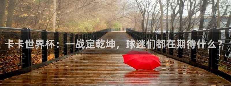 女足世界杯直播：卡卡世界杯：一战定乾坤，球迷们都在期待什么？