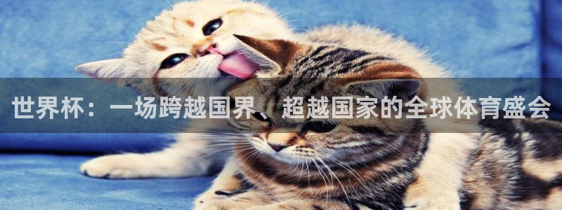世界杯直播网站：世界杯：一场跨越国界、超越国家的全球体育盛会