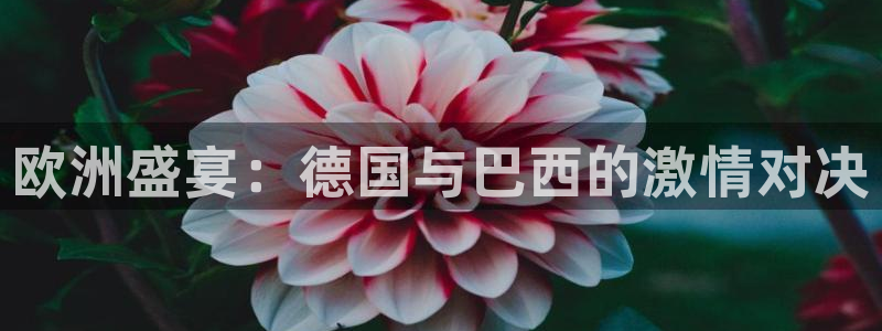 今年的世界杯：欧洲盛宴：德国与巴西的激情对决