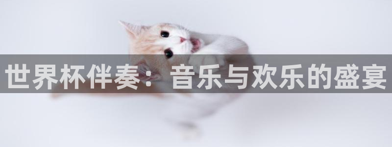 世预赛赛程表：世界杯伴奏：音乐与欢乐的盛宴