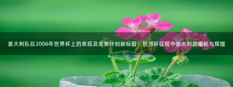 2026年世界杯赛程时间表格：意大利队在2006年世界杯上的表现及未来计划新标题：欧洲杯征程中意大利的崛起与辉煌